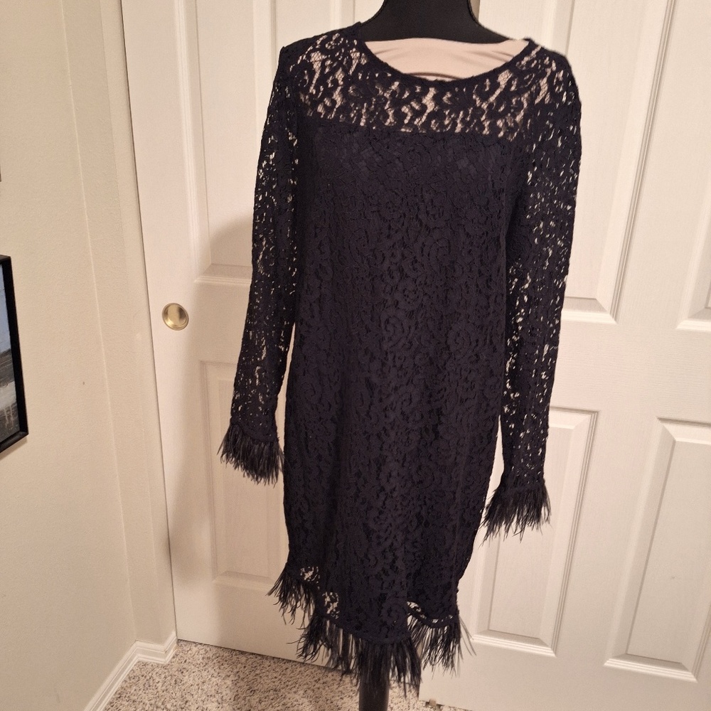 Black lace with feather trim dress